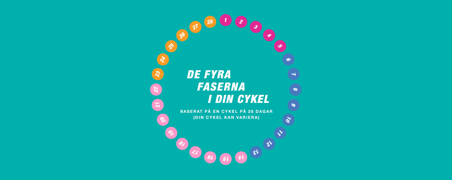 Fyra fascyklar